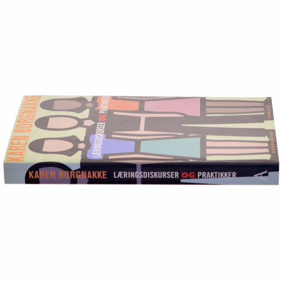Læringsdiskurser og praktikker af Karen Borgnakke (Bog)