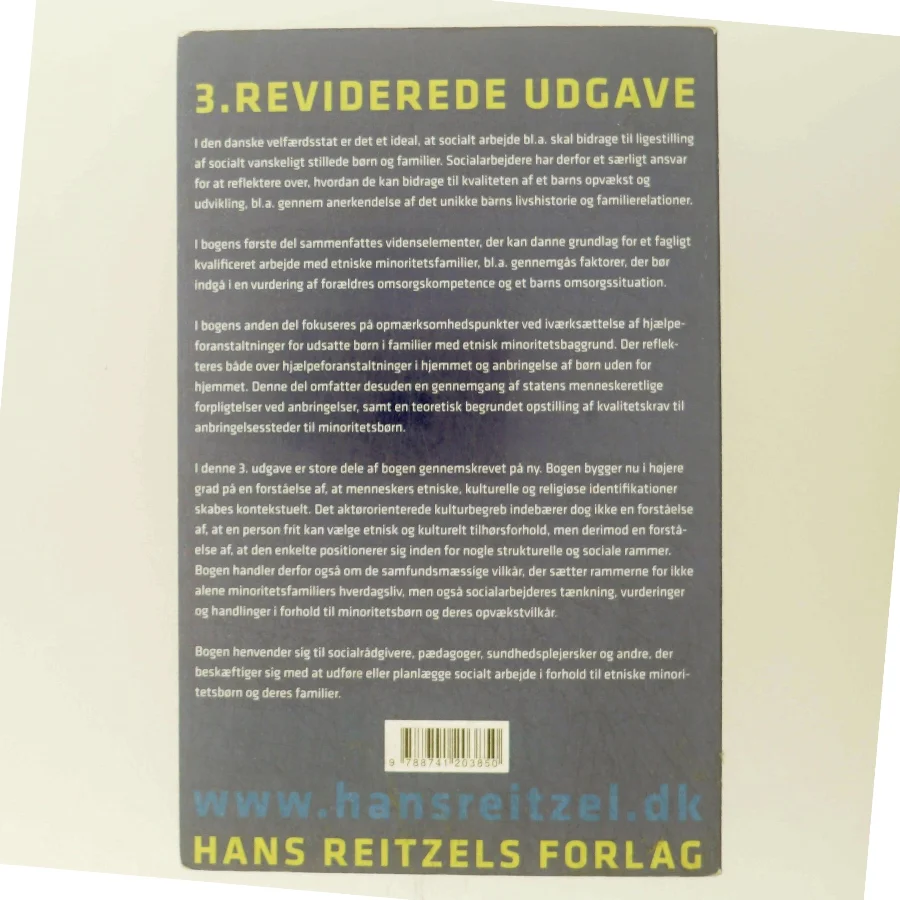 Etniske minoritetsfamilier og socialt arbejde af Marianne Skytte (Bog)