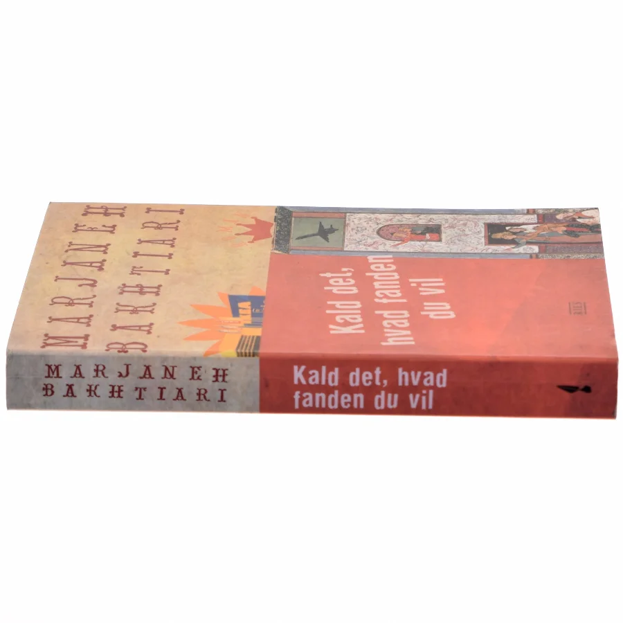 Kald det, hvad fanden du vil af Marjaneh Bakhtiari (Bog)