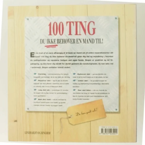 100 ting du ikke behøver en mand til! : reparationer og forbedringer i hjemmet af Alison Jenkins (Bog)