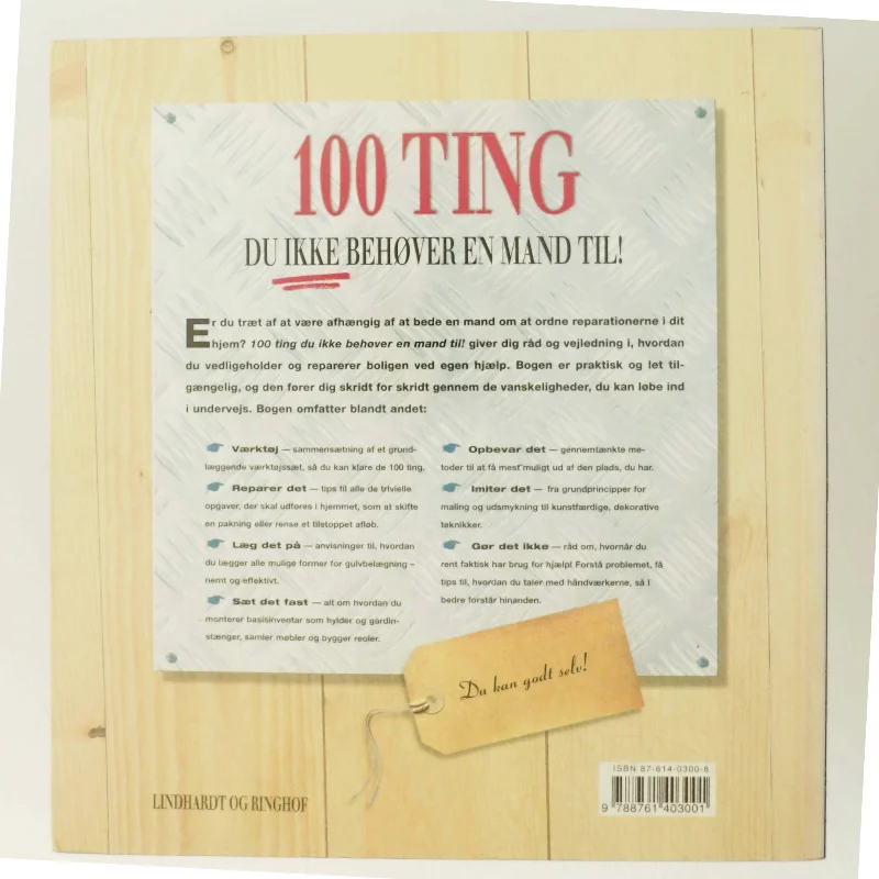 100 ting du ikke behøver en mand til! : reparationer og forbedringer i hjemmet af Alison Jenkins (Bog)