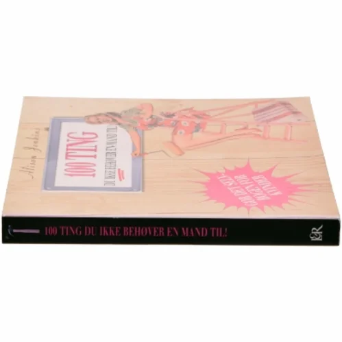 100 ting du ikke behøver en mand til! : reparationer og forbedringer i hjemmet af Alison Jenkins (Bog)