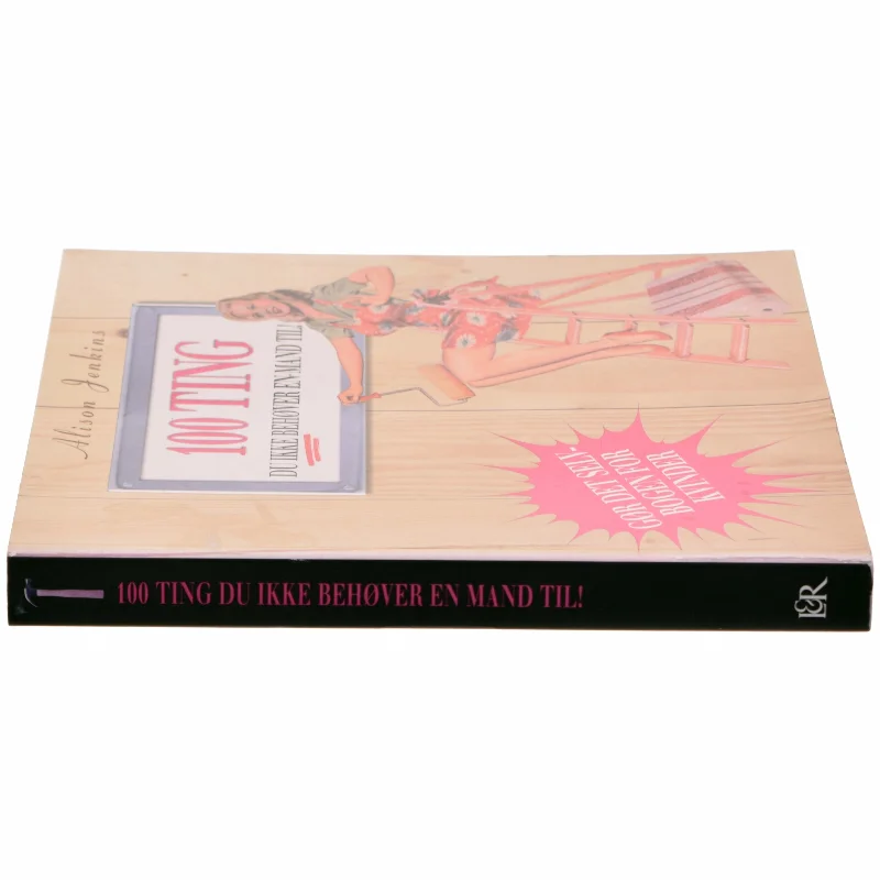 100 ting du ikke behøver en mand til! : reparationer og forbedringer i hjemmet af Alison Jenkins (Bog)