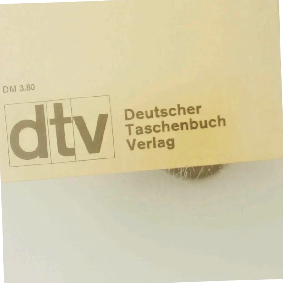 Der Mann im Strom af Siegfried Lenz (Bog)