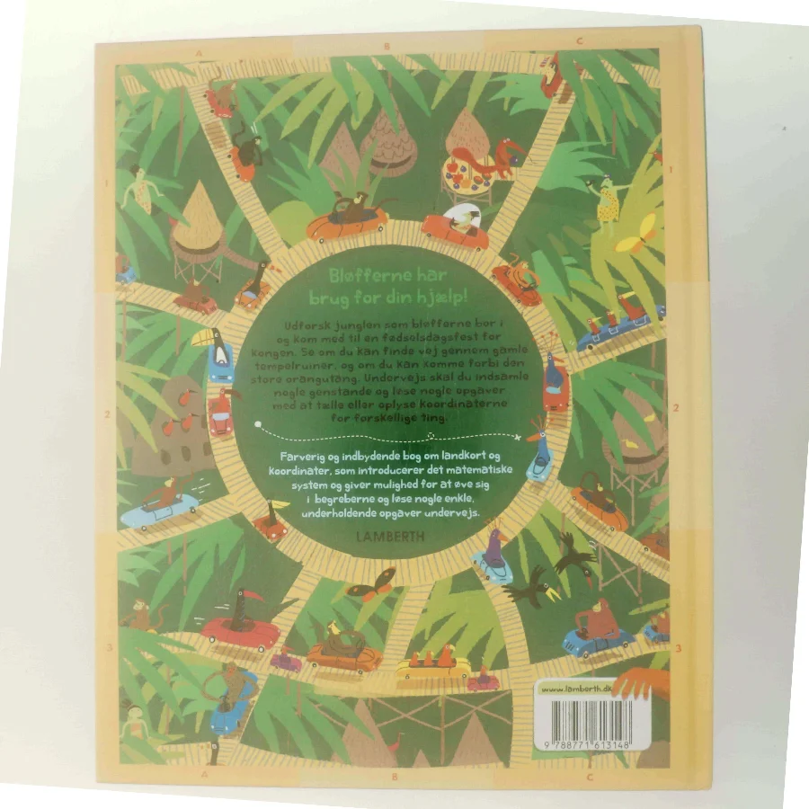 Kan du finde vej? Gennem junglen af Jenny McInerney (Bog)