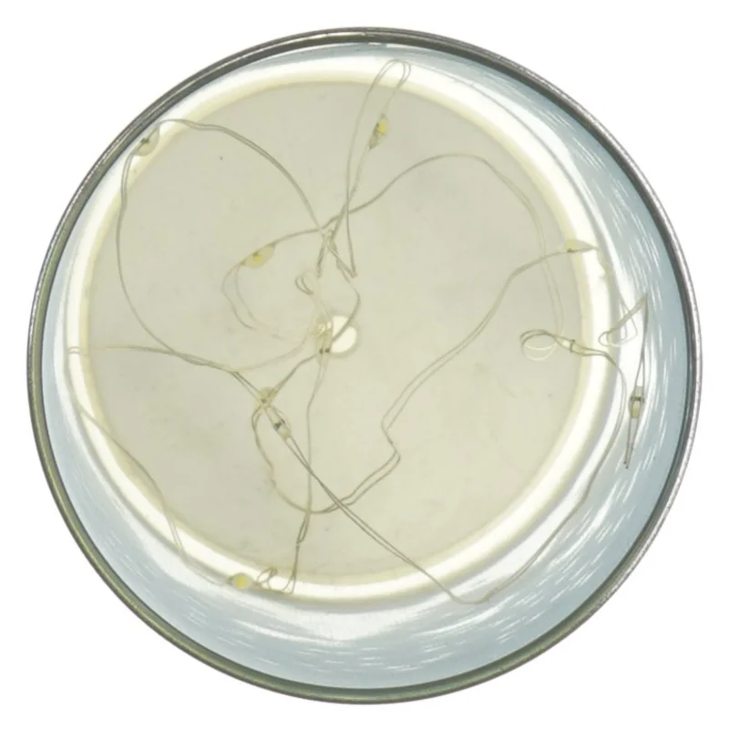 Dekorativ vase med LED-lys og juletræsmotiv (str. 21 x 8 cm)