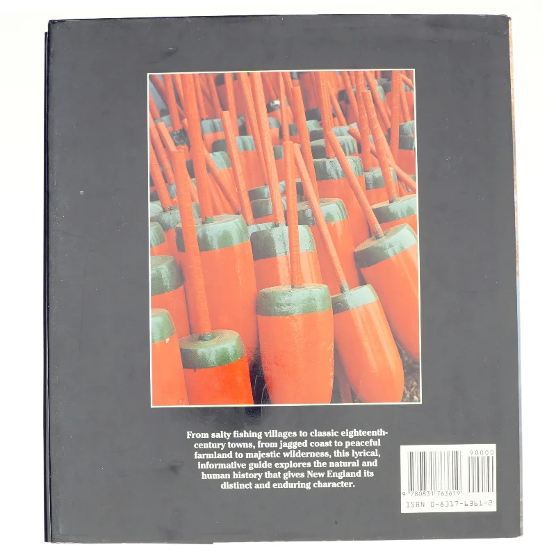 Reflections of New England af Ellen Lesser (Bog)