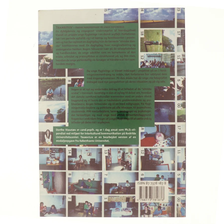 Transitliv : andre perspektiver på unge flygtninge af Dorthe Staunæs (Bog)