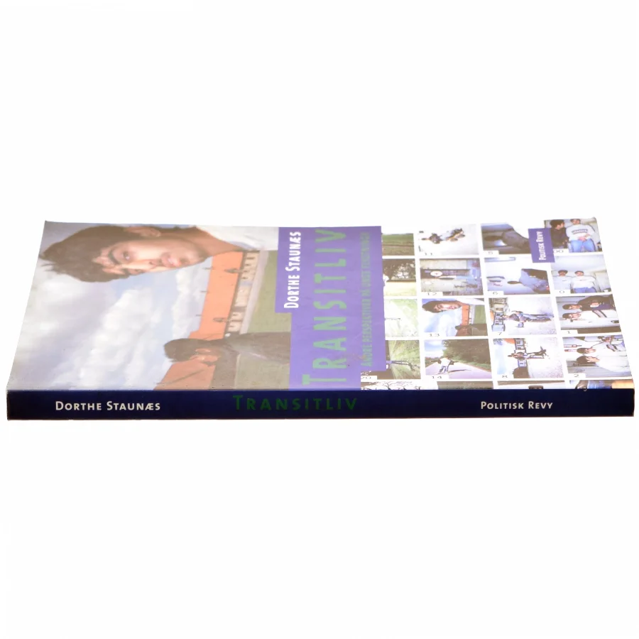 Transitliv : andre perspektiver på unge flygtninge af Dorthe Staunæs (Bog)