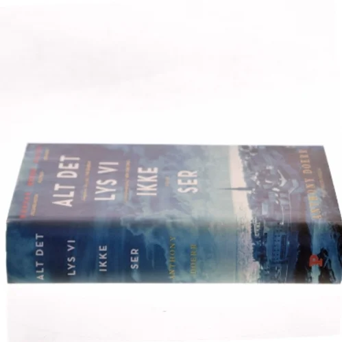 Alt det lys vi ikke ser : roman af Anthony Doerr (Bog)