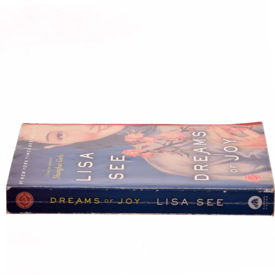 Dreams of Joy af Lisa See (Bog)