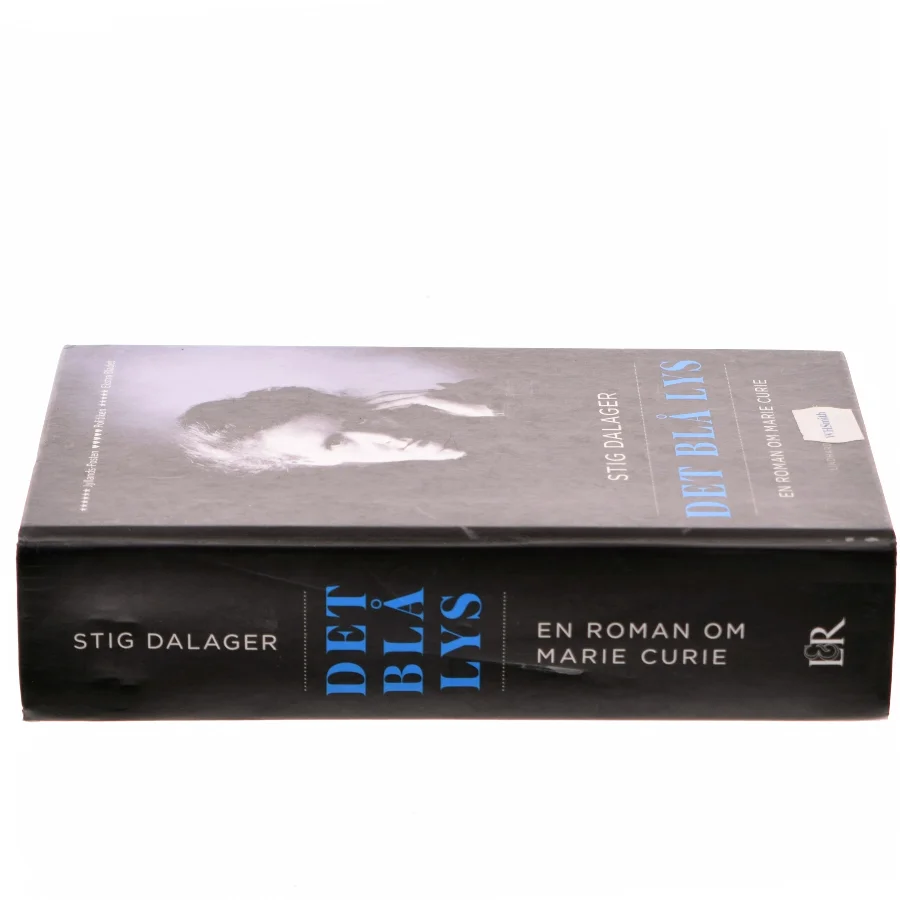 Det blå lys : en roman om Marie Curie af Stig Dalager (Bog)