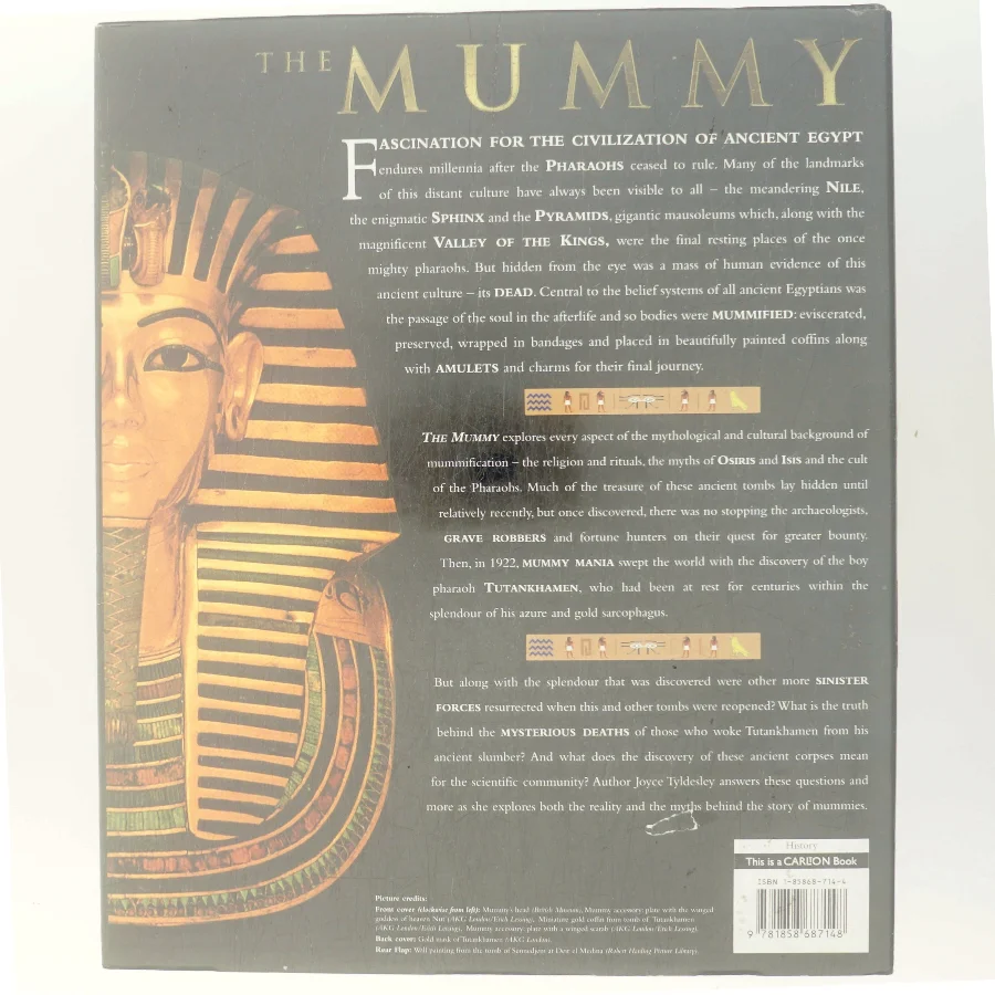 The mummy : unwrap the ancient secrets of the mummies' tomns af Joyce Tyldesley (Bog)