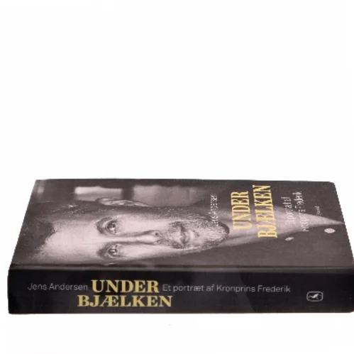 Under bjælken af Jens Andersen (f. 1955) (Bog)