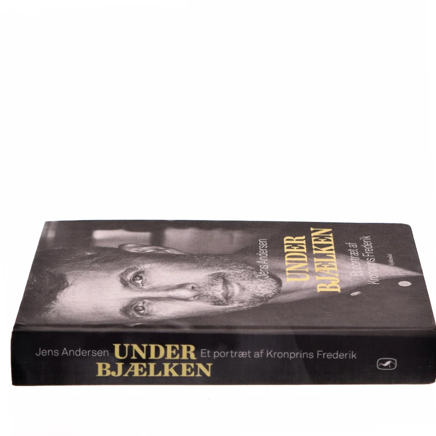 Under bjælken af Jens Andersen (f. 1955) (Bog)