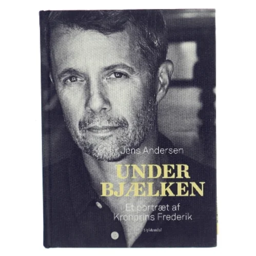 Under bjælken af Jens Andersen (f. 1955) (Bog)
