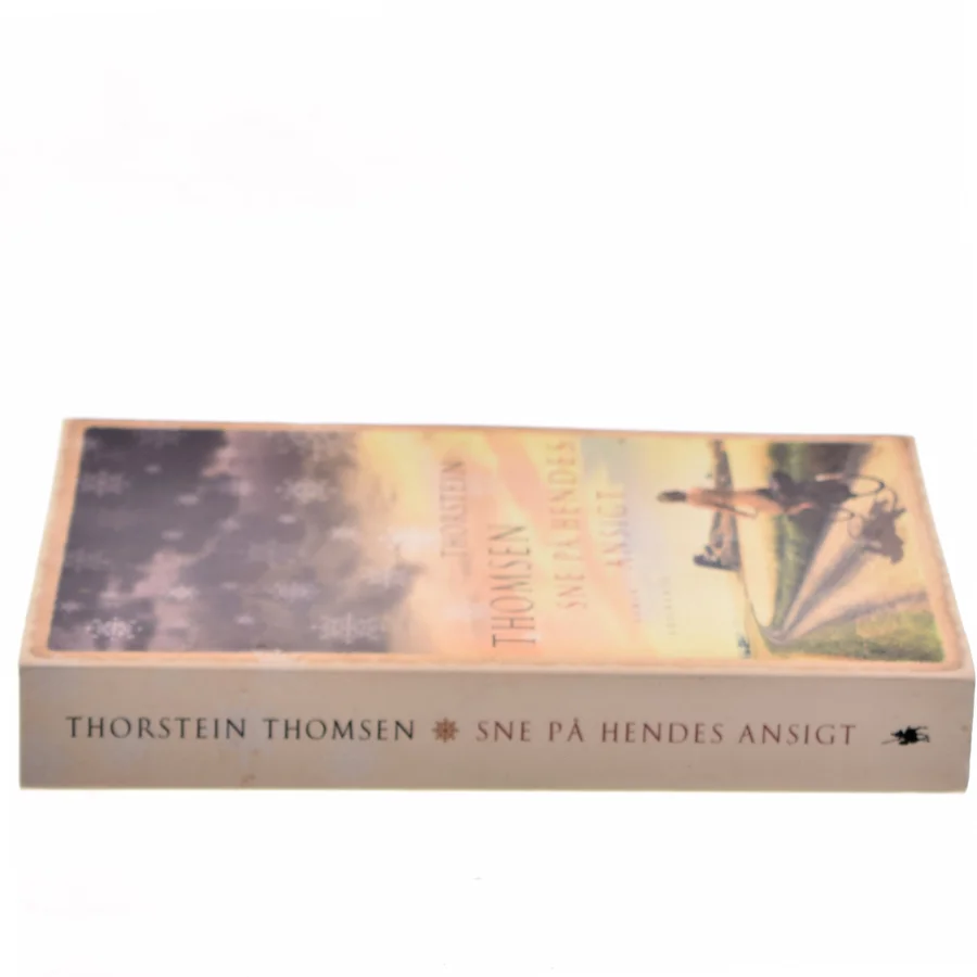 Sne på hendes ansigt af Thorstein Thomsen (f. 1950) (Bog)