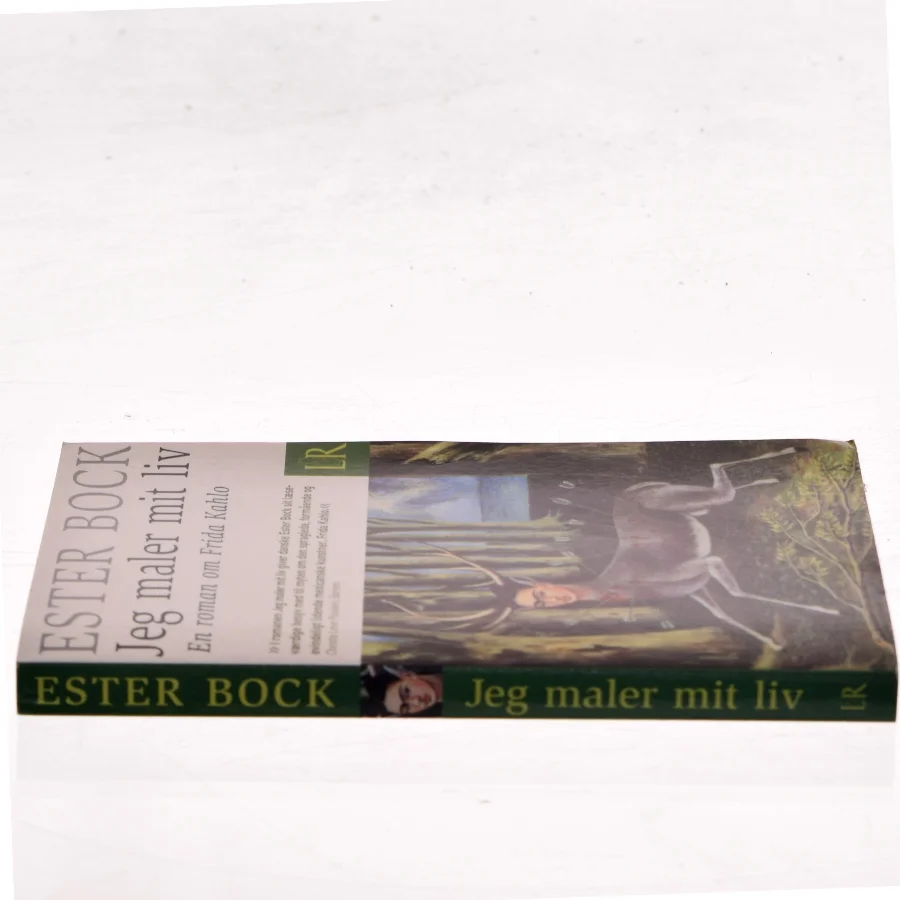 Jeg maler mit liv : en roman om Frida Kahlo af Ester Bock (Bog)