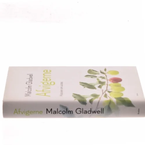 Afvigerne : historien om succes af Malcolm Gladwell (Bog)