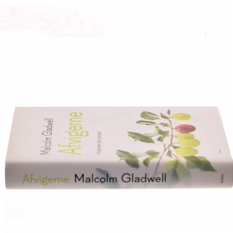 Afvigerne : historien om succes af Malcolm Gladwell (Bog)