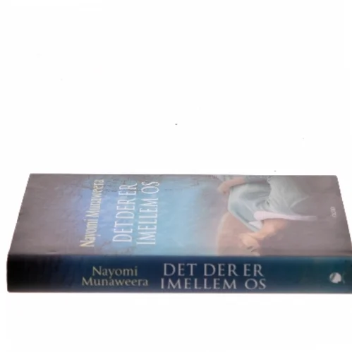 Det der er imellem os af Nayomi Munaweera (Bog)