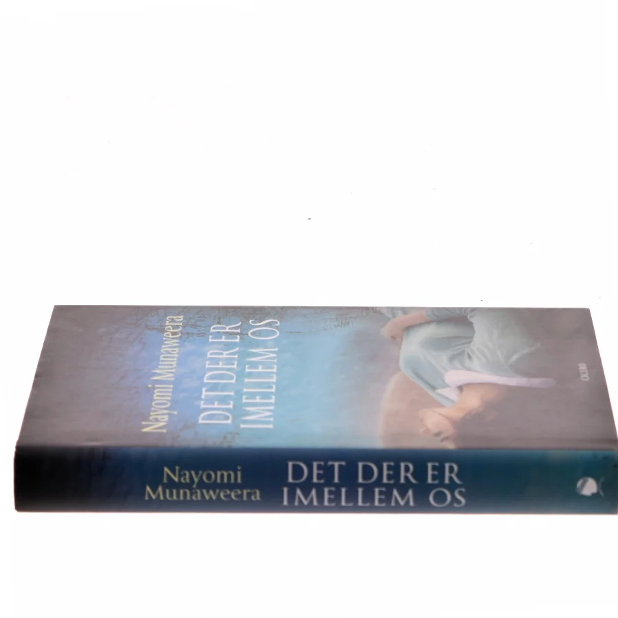 Det der er imellem os af Nayomi Munaweera (Bog)