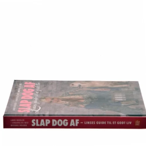 Slap dog af af Linse Kessler (Bog)