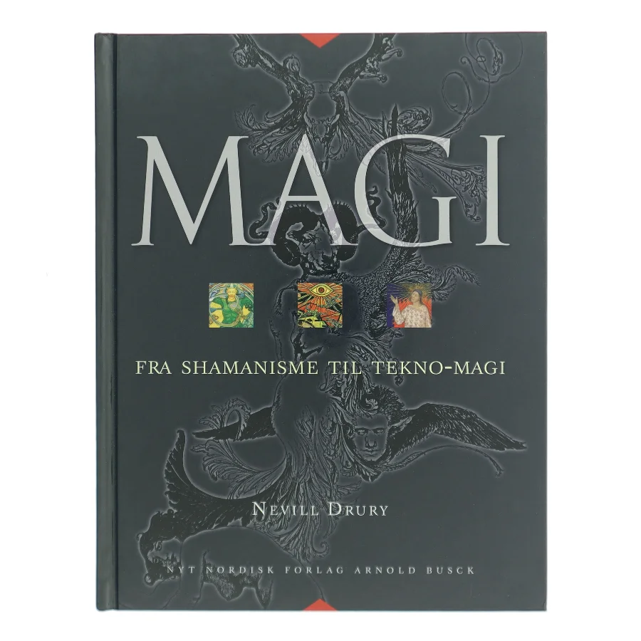 Magi : fra shamanisme til tekno-magi af Nevill Drury (Bog)