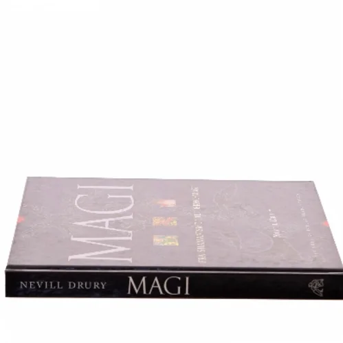 Magi : fra shamanisme til tekno-magi af Nevill Drury (Bog)