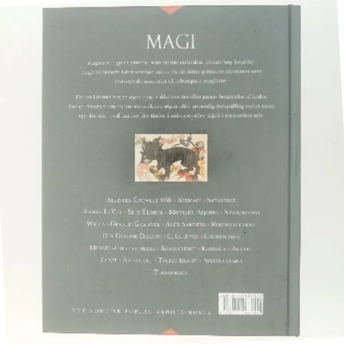 Magi : fra shamanisme til tekno-magi af Nevill Drury (Bog)