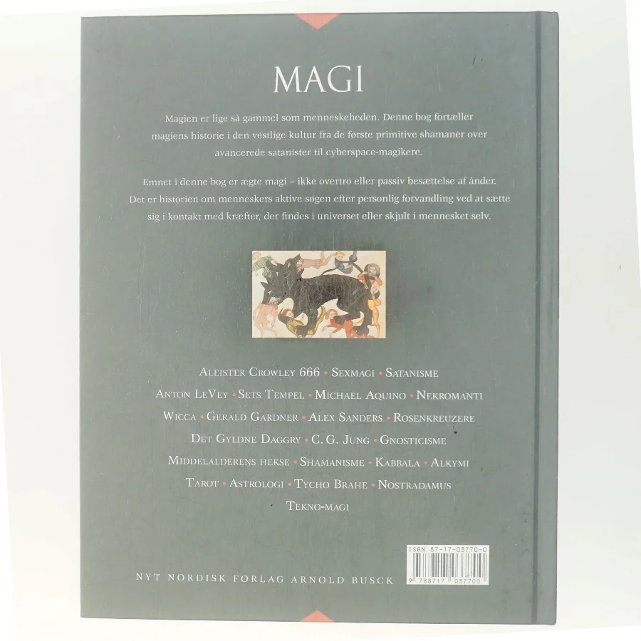 Magi : fra shamanisme til tekno-magi af Nevill Drury (Bog)