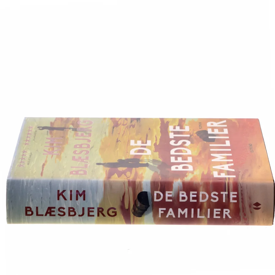 De bedste familier : roman af Kim Blæsbjerg (Bog)
