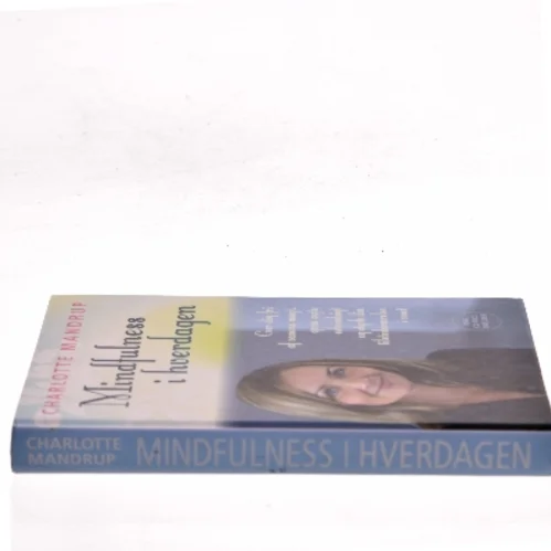 Mindfulness i hverdagen af Charlotte Mandrup (Bog)
