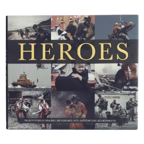 Heroes (Bog)
