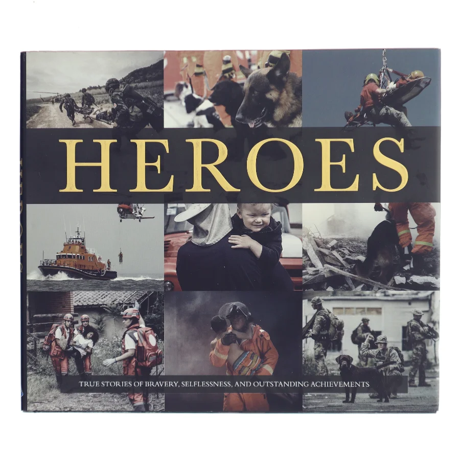Heroes (Bog)