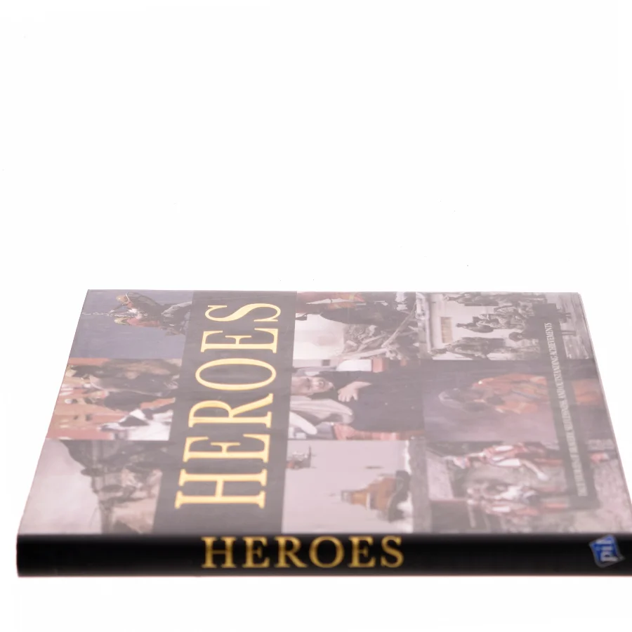 Heroes (Bog)