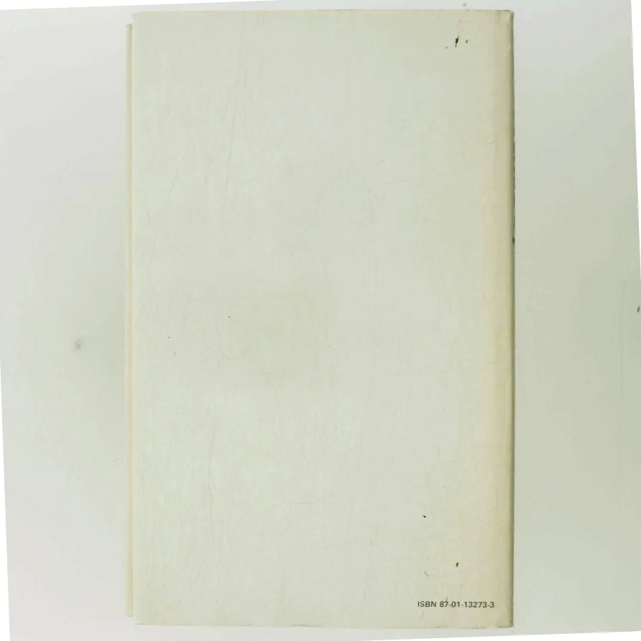 Den sovende by af Angelo Hjort (Bog)