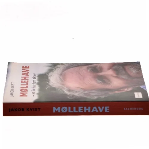 Møllehave af Jakob Kvist (Bog)