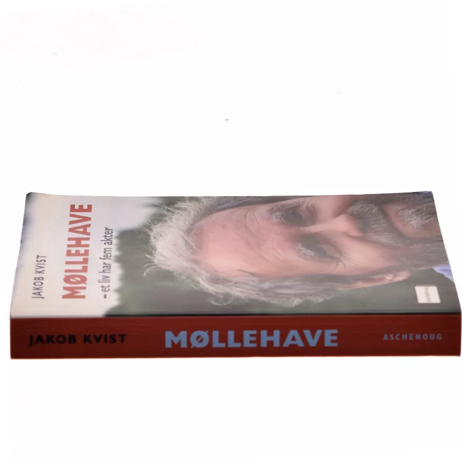Møllehave af Jakob Kvist (Bog)