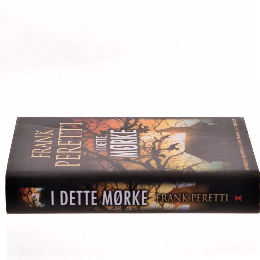 I dette mørke af Frank E. Peretti (Bog)