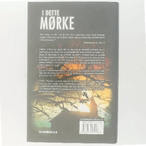 I dette mørke af Frank E. Peretti (Bog)