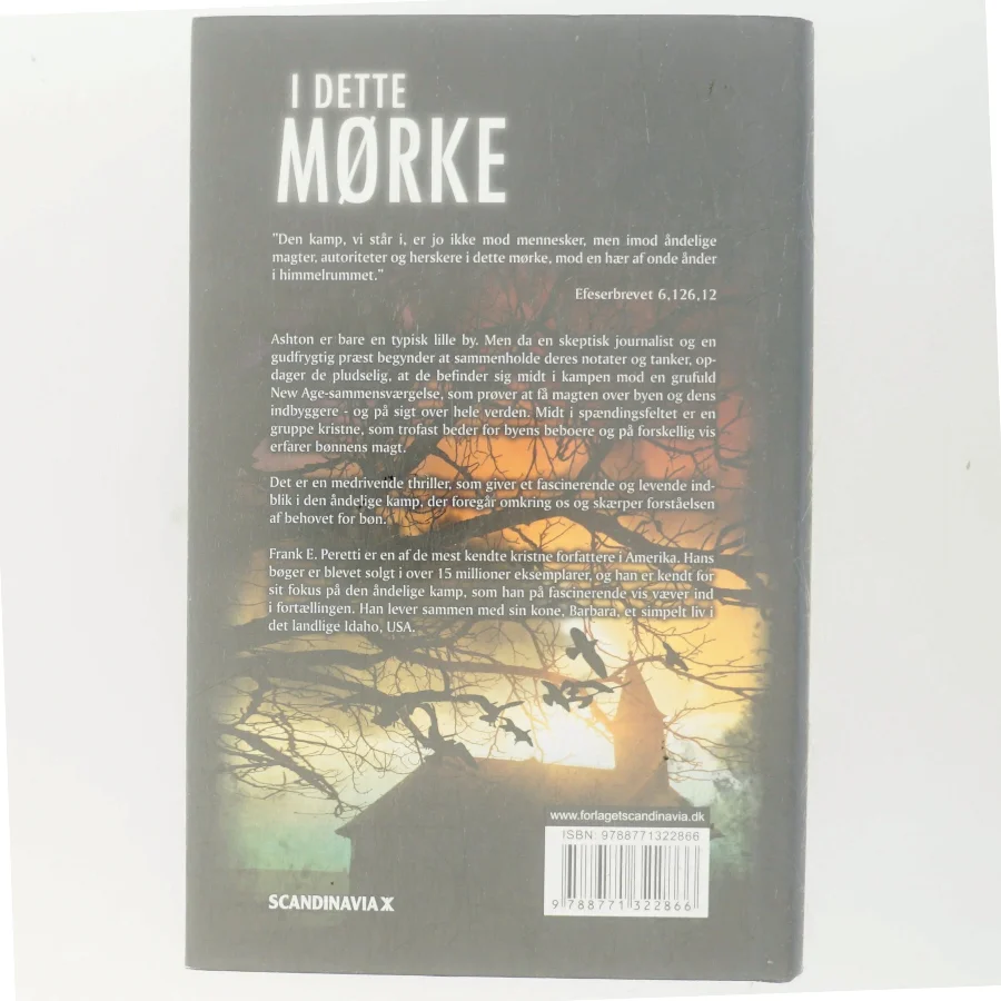 I dette mørke af Frank E. Peretti (Bog)