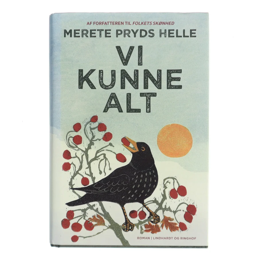 Vi kunne alt : roman af Merete Pryds Helle (Bog)