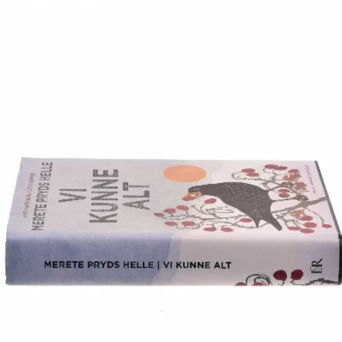 Vi kunne alt : roman af Merete Pryds Helle (Bog)