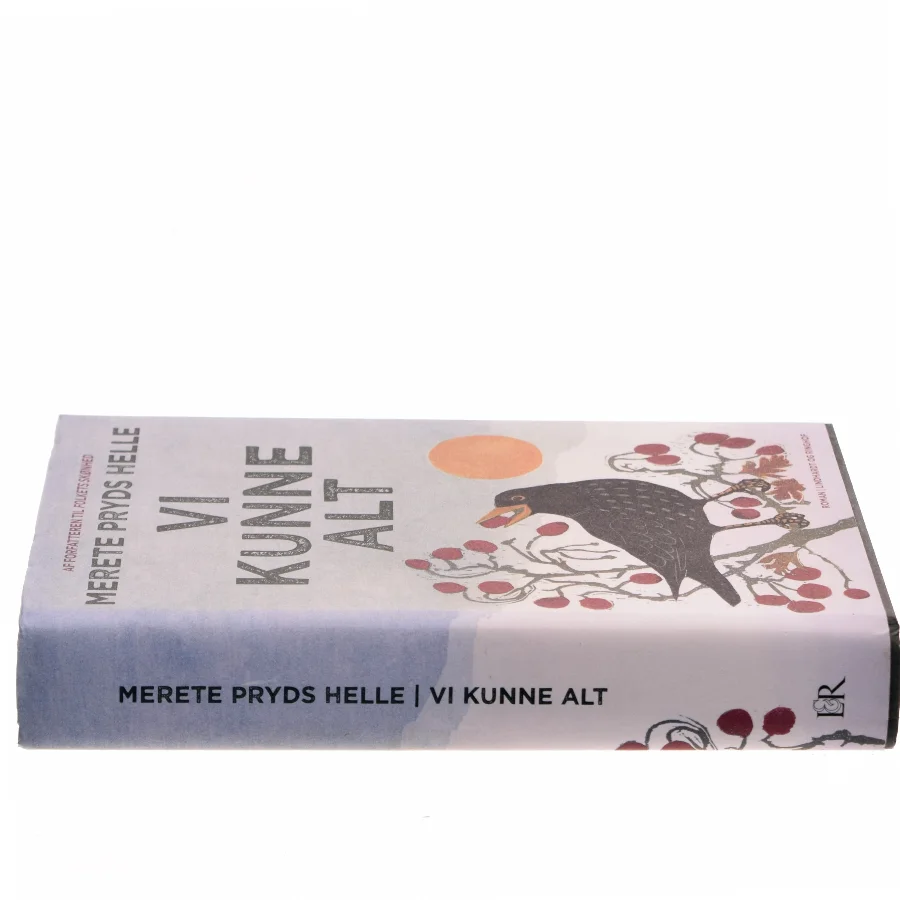 Vi kunne alt : roman af Merete Pryds Helle (Bog)