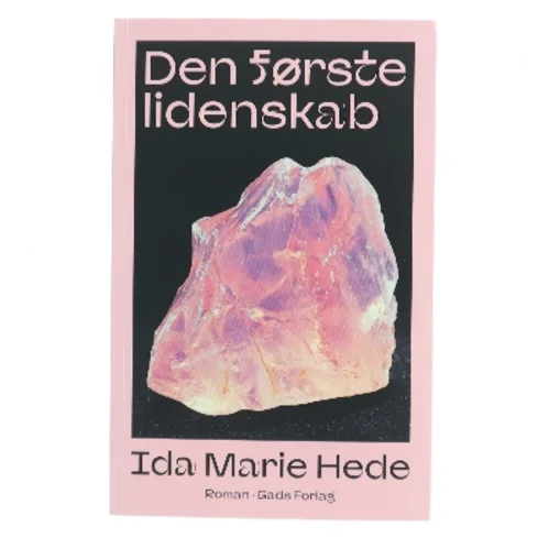 Den første lidenskab : roman af Ida Marie Hede (Bog)