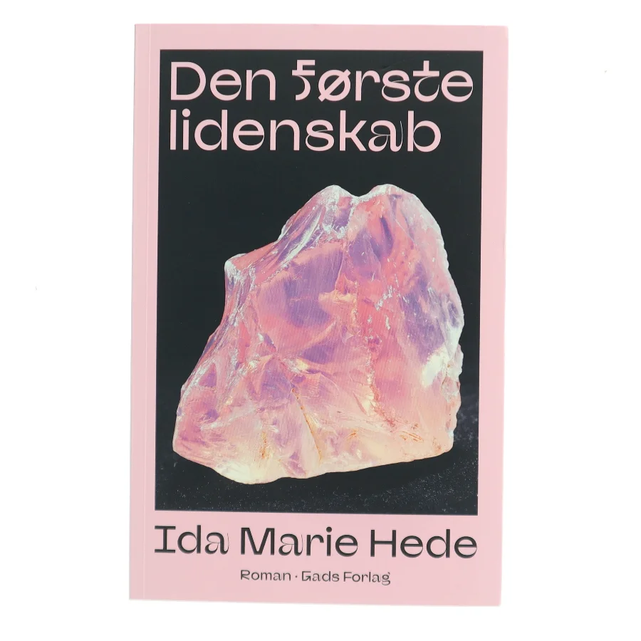 Den første lidenskab : roman af Ida Marie Hede (Bog)
