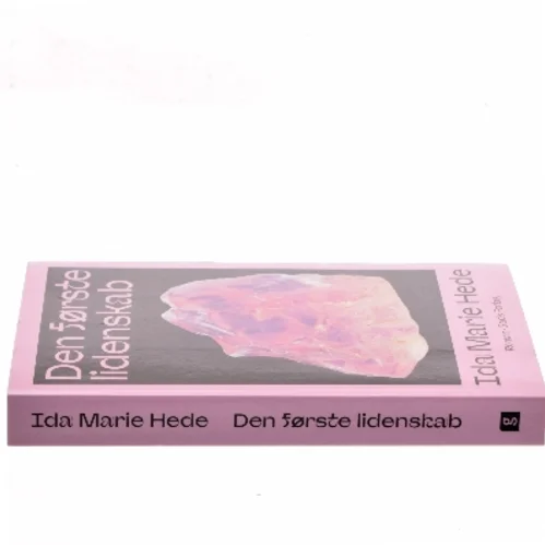 Den første lidenskab : roman af Ida Marie Hede (Bog)