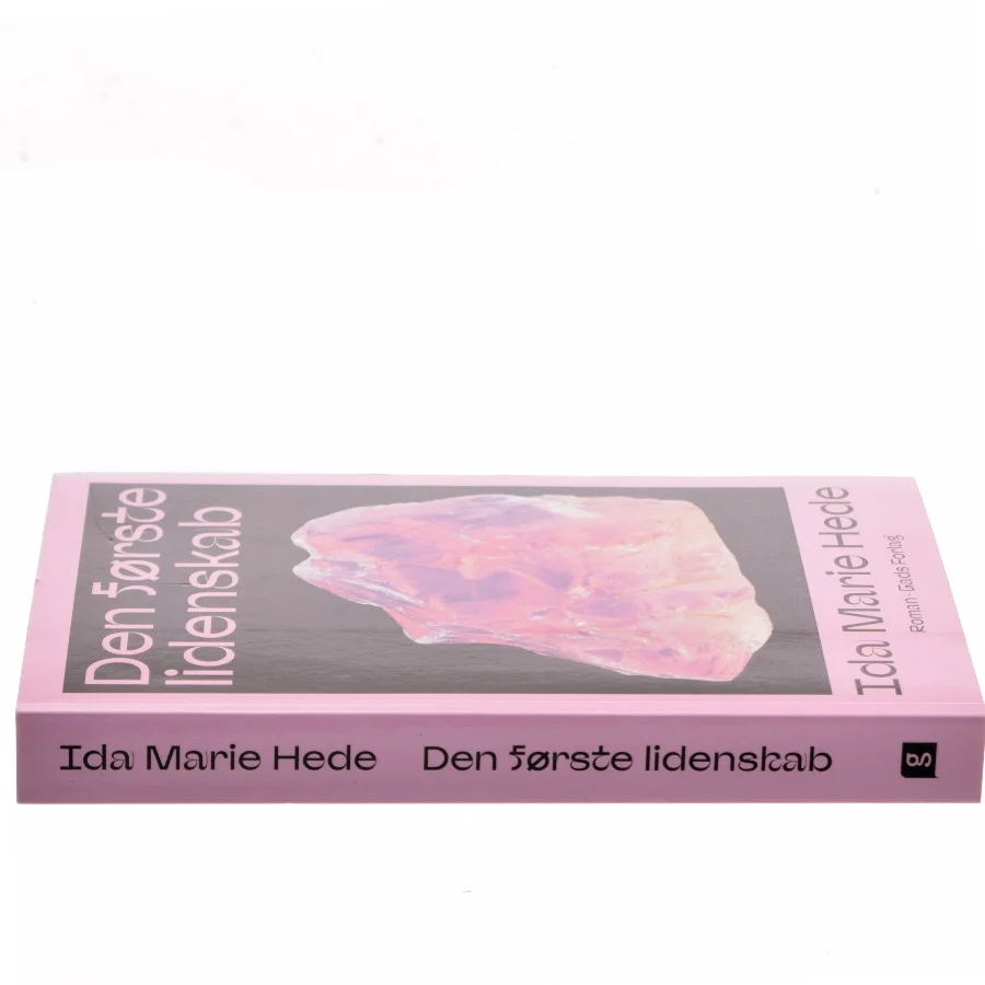 Den første lidenskab : roman af Ida Marie Hede (Bog)