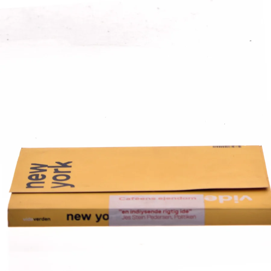 New York (Vide verden) af Anne Mette Lundtofte (Bog)